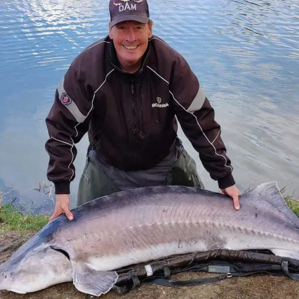 Sø rekord - Beluga Stør 84 kg