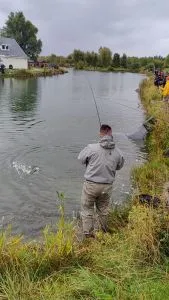 IMG20220927082943 01