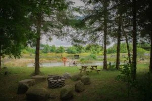 Naturcamping b&oslash;rnes&oslash;en - fiskeri for b&oslash;rn 3-11 &aring;r