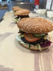 PXL 20240416 113437140  1 