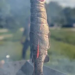 Xpeng Xcamp Orsted Outdoor 2025  9 