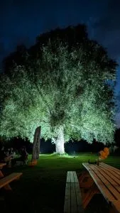 DKUF Orsted Outdoor  28 