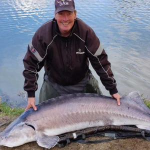 Sø rekord - Beluga Stør 84 kg