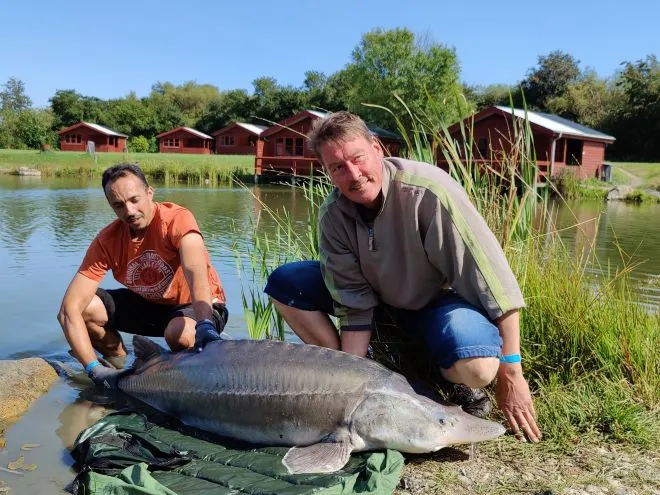Størfiskeri i naturskønne omgivelser