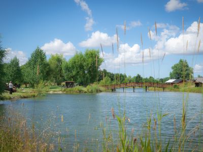 Naturcamping sydsøen - fiskesø