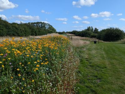 probanen fodboldgolf orsted outdoor  1 